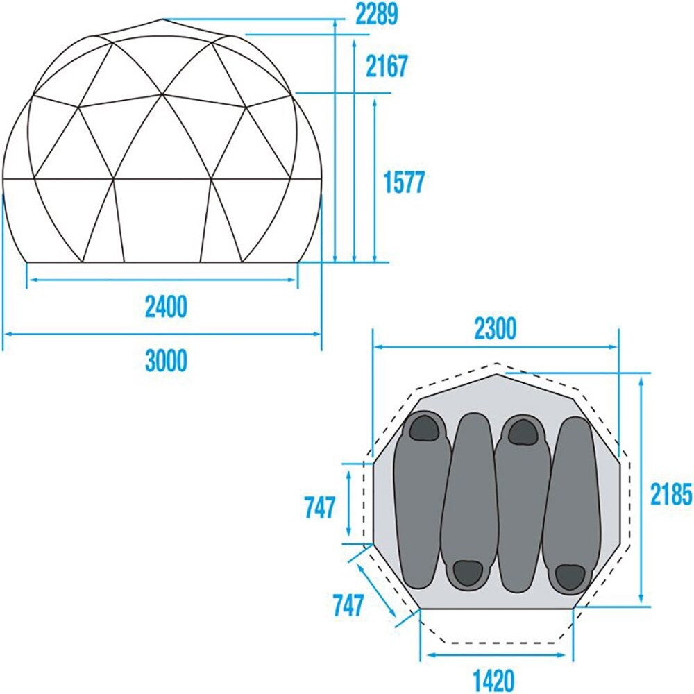 ノースフェイス（THE NORTH FACE） 送料無料(対象外地域有)ドームテント 登山 GEODOME 4 NV21800 SF