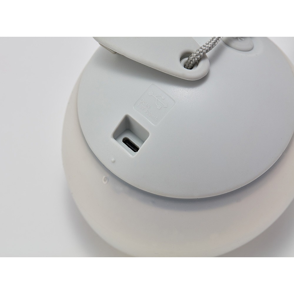 スノーピーク（snow peak） ランタン LED ライト RBほおずき あさもや ES-170-IV
