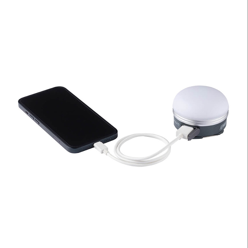 コールマン（Coleman） ライト LED ハンギングEライト 2206770 キャンプ 防災 防災用品 非常用 災害
