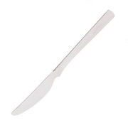 オールステン・ディナーナイフ All Stainless Dinner Knife NT-051 キャンプ バーベキュー カトラリー BBQ