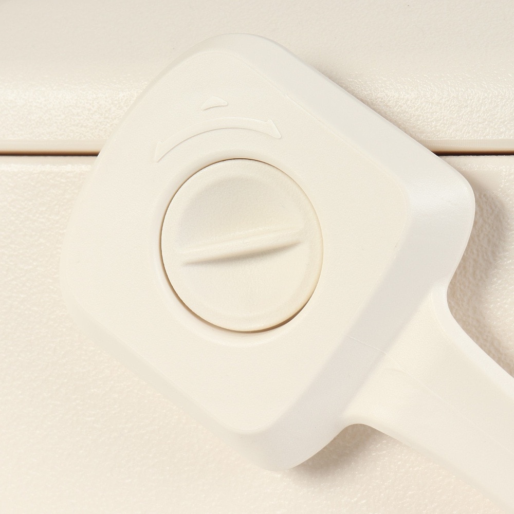 ホールアース（Whole Earth） クーラーボックス COOLPOINT 10 WE2TDI36 IVR