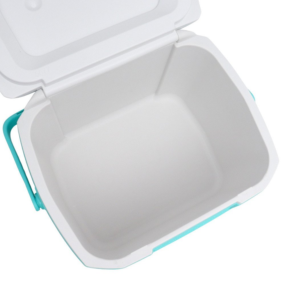 コールマン（Coleman） クーラーボックス エクスカーションクーラー 16QT 2238190