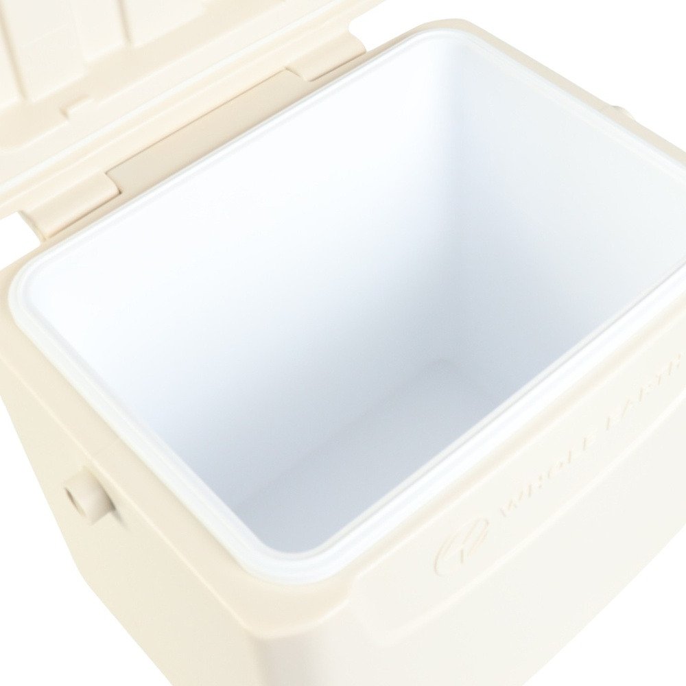 ホールアース（Whole Earth） クーラーボックス COOLPOINT 10 WE2TDI36 IVR