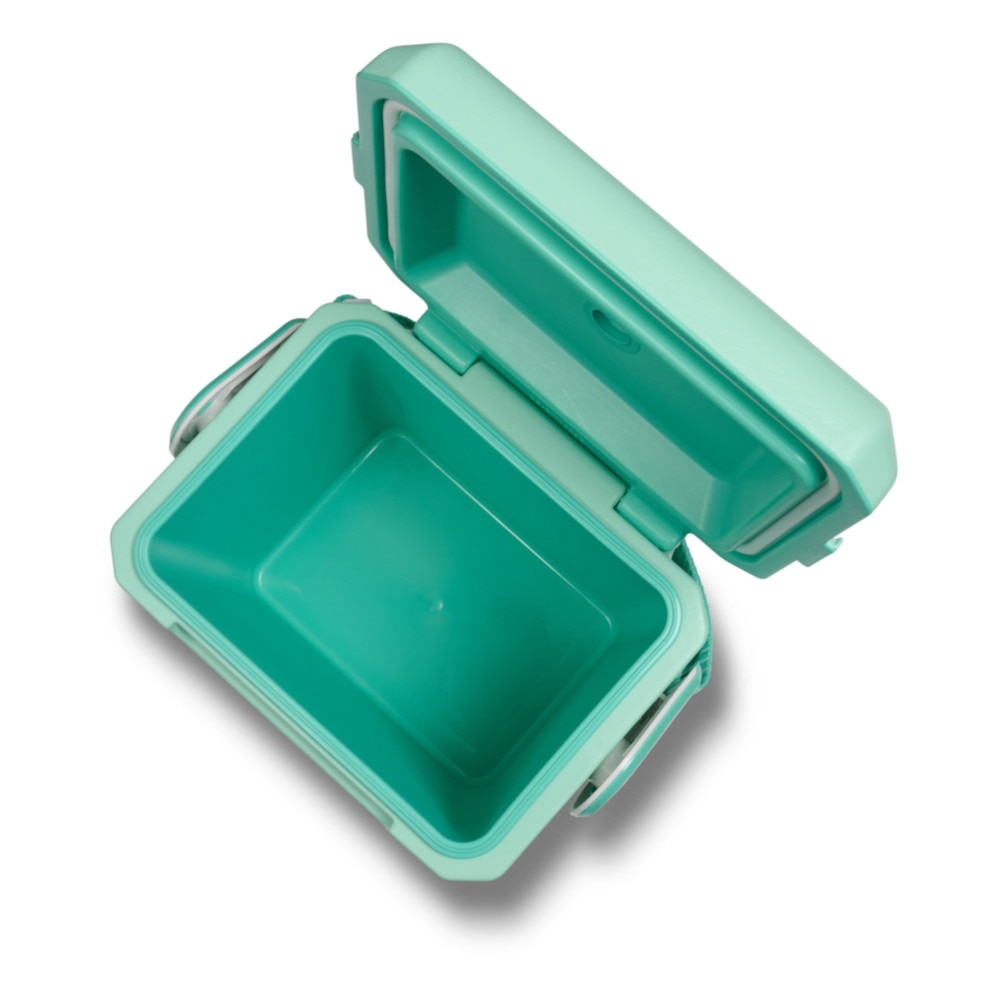 イグルー（igloo） クーラーボックス 保冷 10.4L タグアロング 11 QT TAG-A-LONG TOO 132971 防災