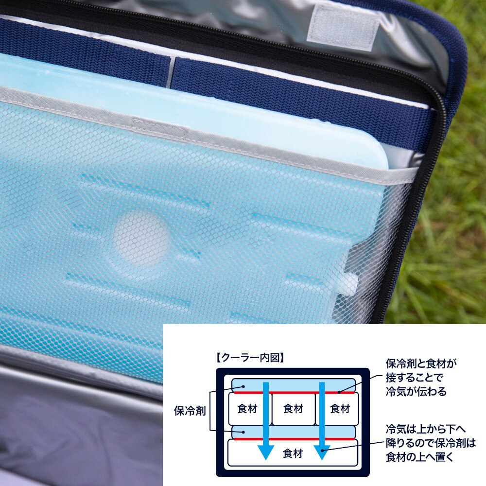 ホールアース（Whole Earth） ソフトクーラー8 ブルー 8L WE2KDI04 BLU 保冷バッグ アウトドア キャンプ レジャー BBQ バーベキュー