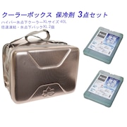 ロゴス（LOGOS） クーラーボックス 保冷剤 3点セット ハイパー氷点下クーラーXL 40L 倍速凍結 氷点下パックXL 2個 R167N003 アウトドア レジャー キャンプ