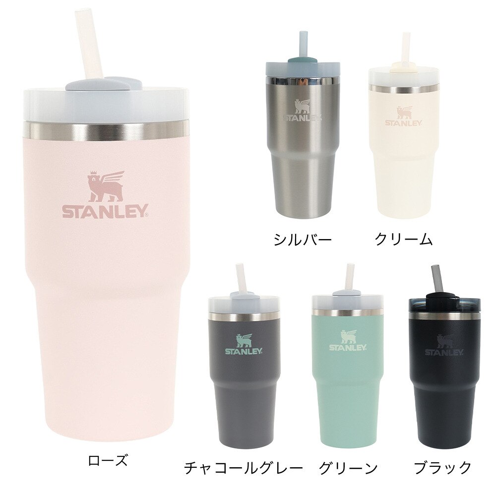 スタンレー（STANLEY） 水筒 タンブラー 保冷 H2.0 真空スリムクエンチャー 0.6L 10-10826-133