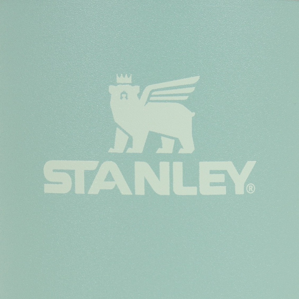 スタンレー（STANLEY） 水筒 タンブラー 保冷 H2.0 真空スリムクエンチャー0.6L 10-10826-062