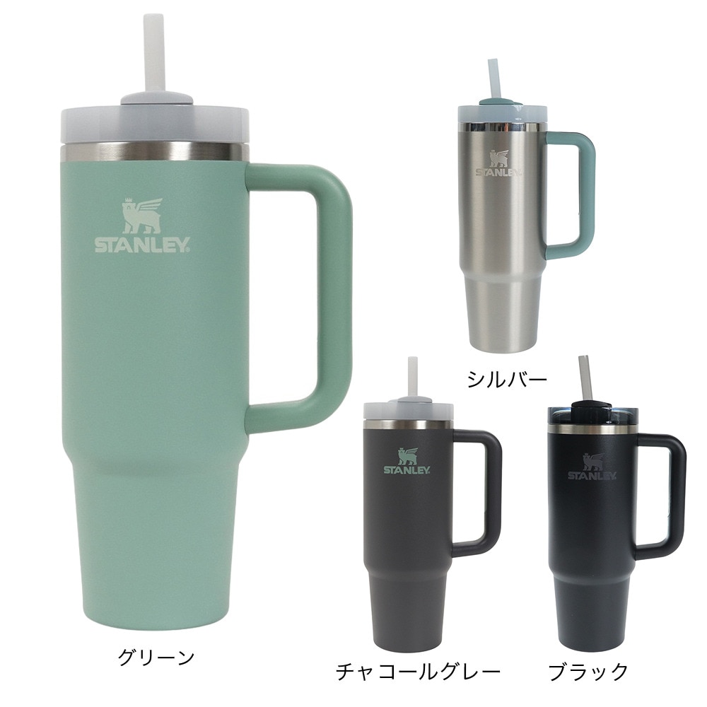 スタンレー（STANLEY） 水筒 タンブラー 保冷 H2.0 真空スリムクエンチャー 0.88L 10-10827-075