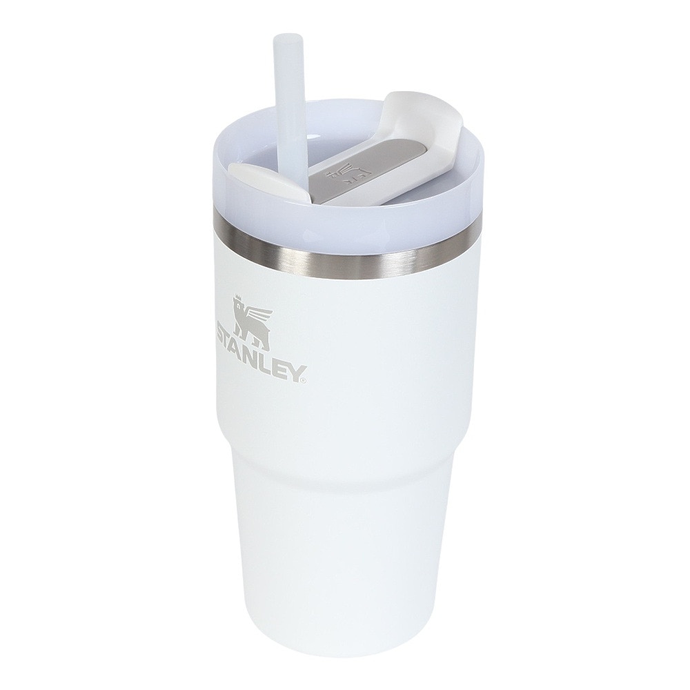 スタンレー（STANLEY） 水筒 ボトル マグ H2.0 真空スリムクエンチャー0.6L フロスト 10-10826-261