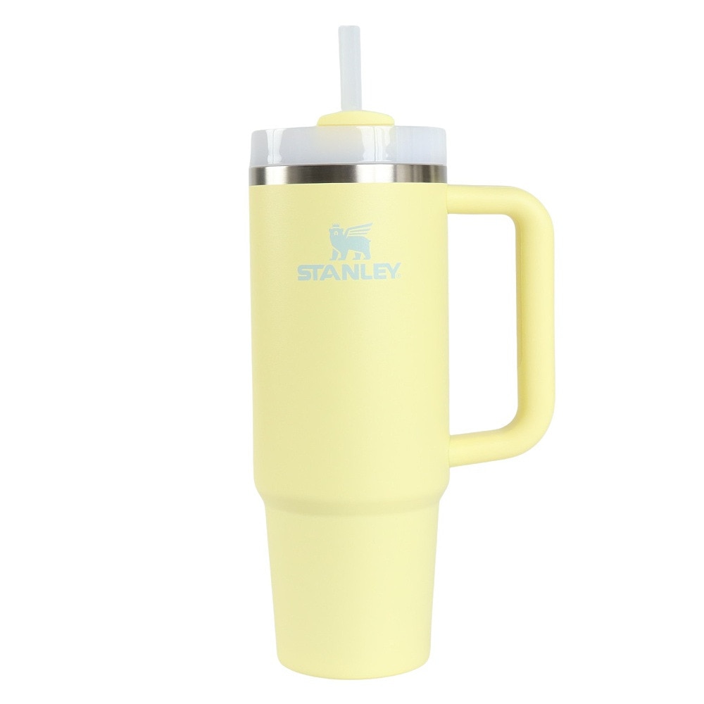 スタンレー（STANLEY） 水筒 ボトル マグ H2.0 真空スリムクエンチャー 0.88L 10-10827-523