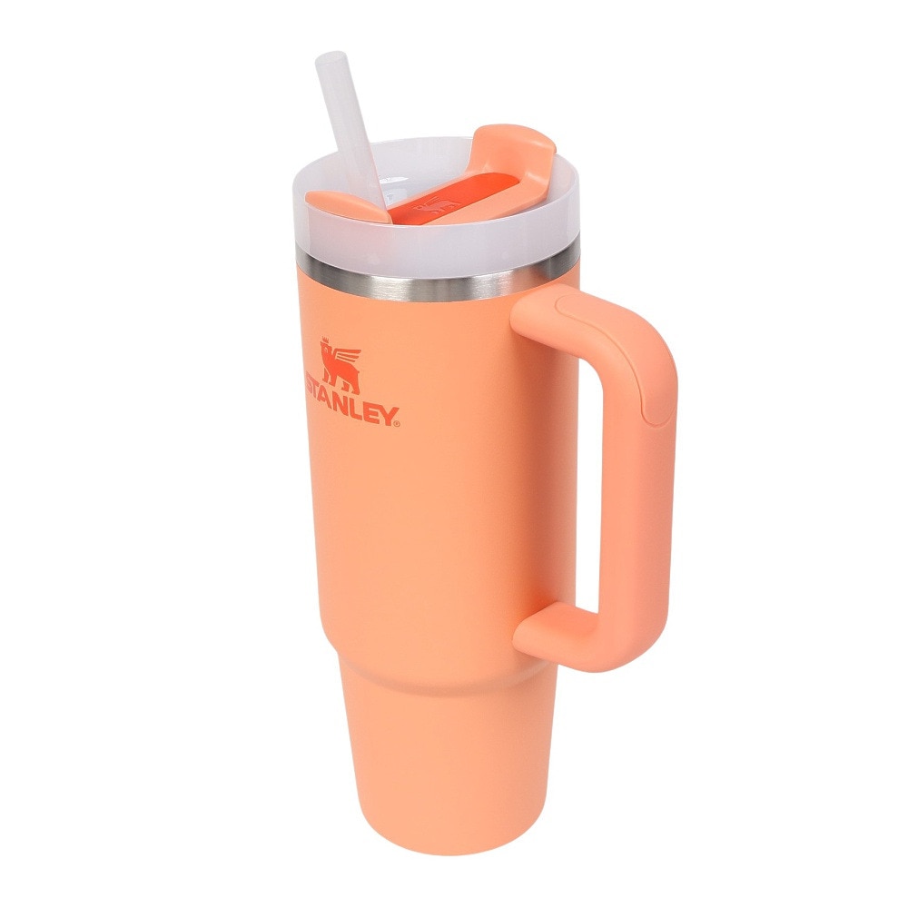 スタンレー（STANLEY） 水筒 ボトル マグ H2.0 真空スリムクエンチャー 0.88L NECTARINE 10-11825-197