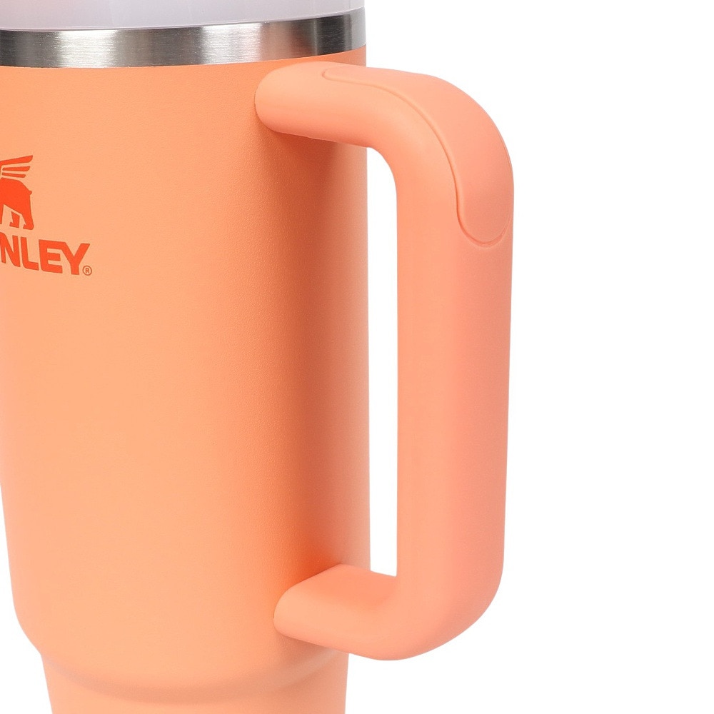 スタンレー（STANLEY） 水筒 ボトル マグ H2.0 真空スリムクエンチャー 0.88L NECTARINE 10-11825-197