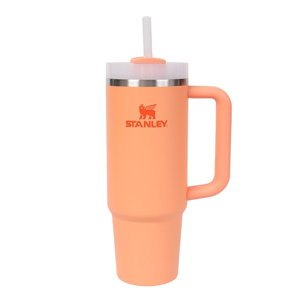 スタンレー（STANLEY） 水筒 ボトル マグ H2.0 真空スリムクエンチャー 0.88L NECTARINE 10-11825-197