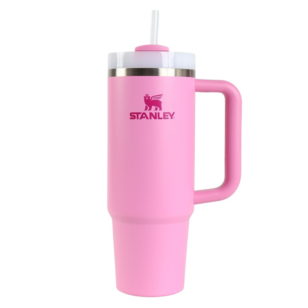 スタンレー（STANLEY） 水筒 ボトル マグ H2.0 真空スリムクエンチャー 0.88L 10-10827-544