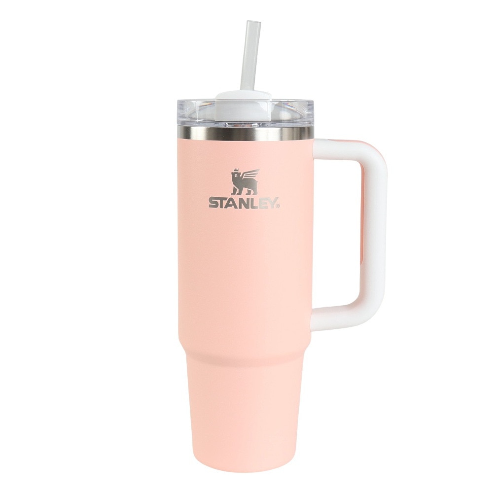 スタンレー（STANLEY） 水筒 ボトル マグ H2.0 真空スリムクエンチャー 0.88L Peach Color Block 10-10827-684