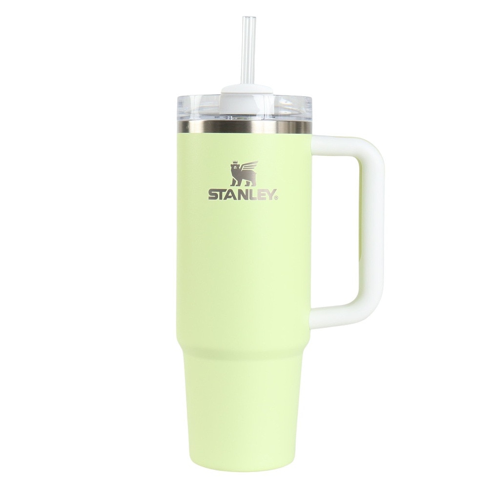 スタンレー（STANLEY） 水筒 ボトル マグ H2.0 真空スリムクエンチャー 0.88L Citron Color Block 10-10827-685
