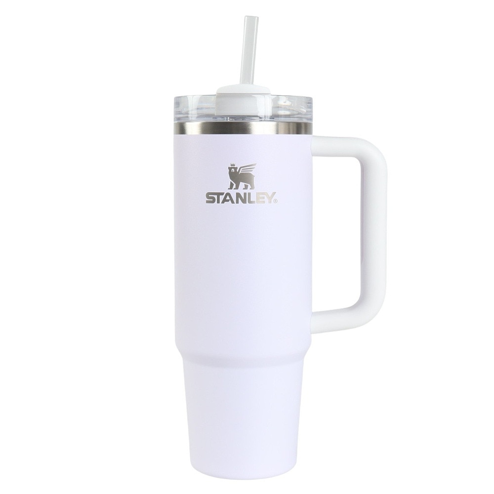 スタンレー（STANLEY） 水筒 ボトル マグ H2.0 真空スリムクエンチャー 0.88L Wisteria Color Block 10-10827-686