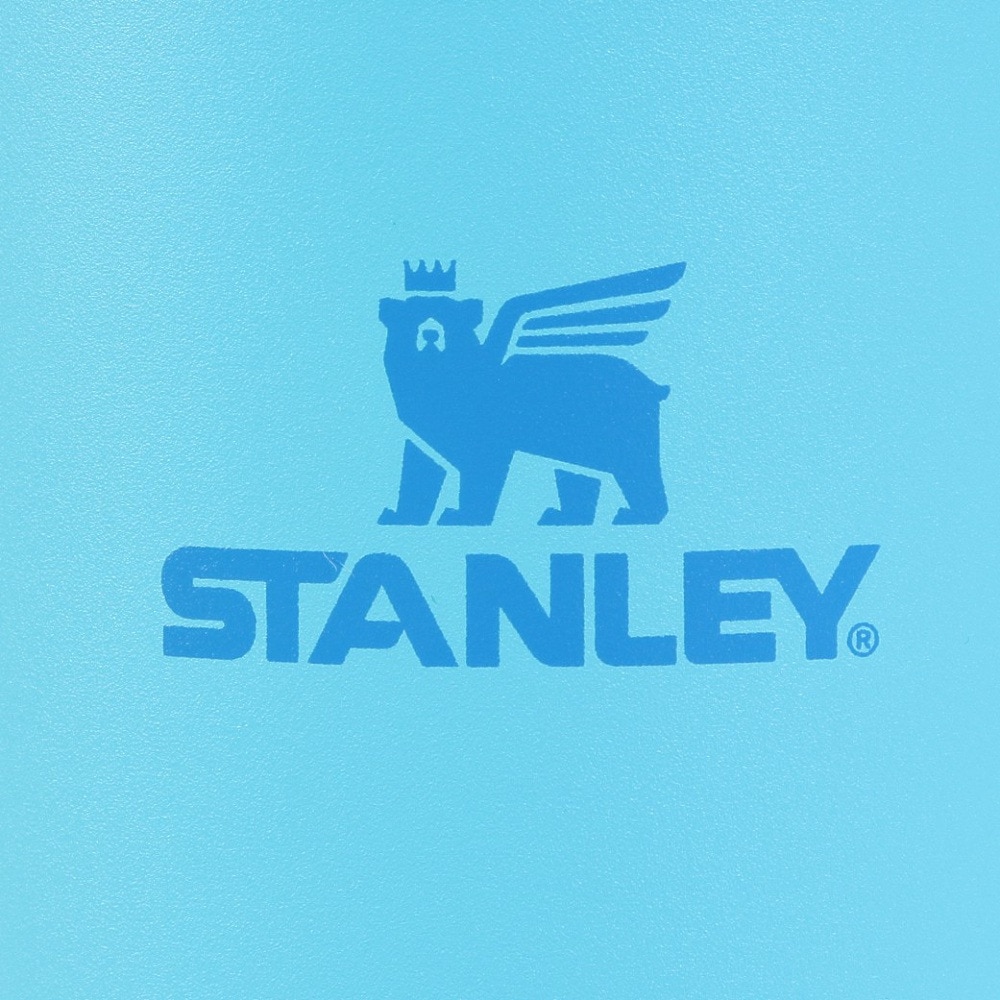 スタンレー（STANLEY） 水筒 ボトル マグ アイスフローフリップストロー真空タンブラー 2.0 0.88L スプラッシュ 10-12043-215