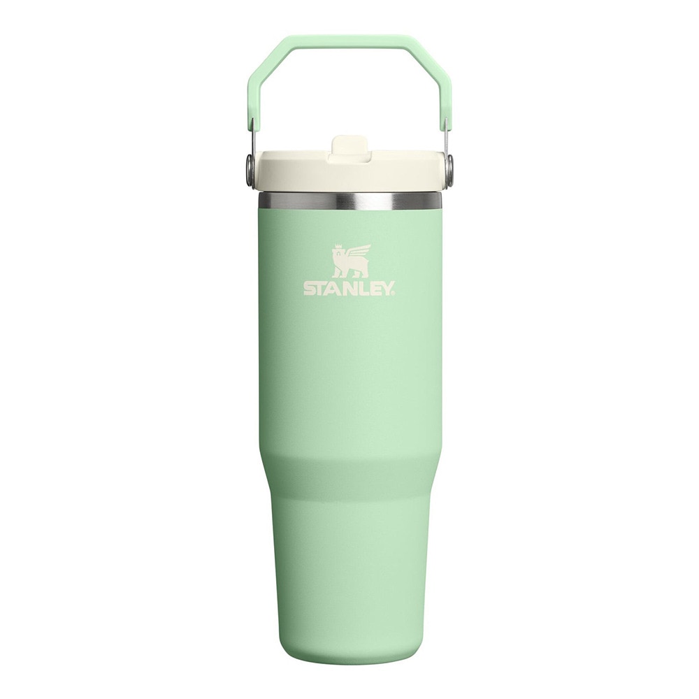 スタンレー（STANLEY） 水筒 ボトル マグ アイスフローフリップストロー真空タンブラー ピスタチオ 10-12043-217
