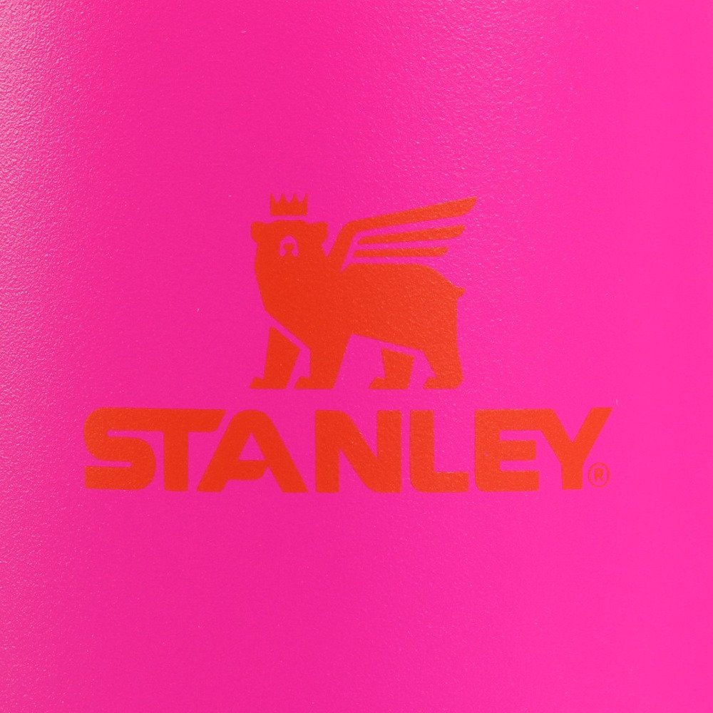 スタンレー（STANLEY） 水筒 ボトル マグ H2.0 真空スリムクエンチャー 0.88L ビビッド 10-10827-729