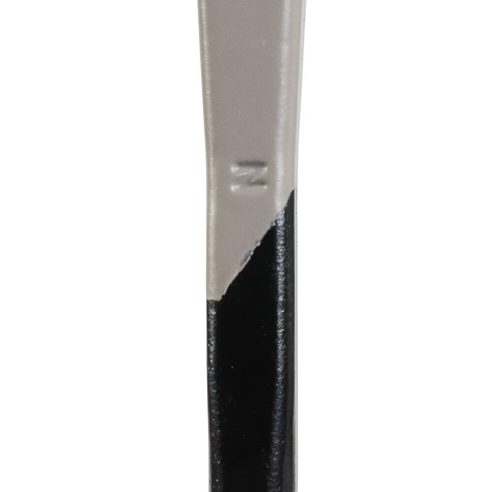 スノーピーク（snow peak） カラーステーク30 シルバー R-103-SV