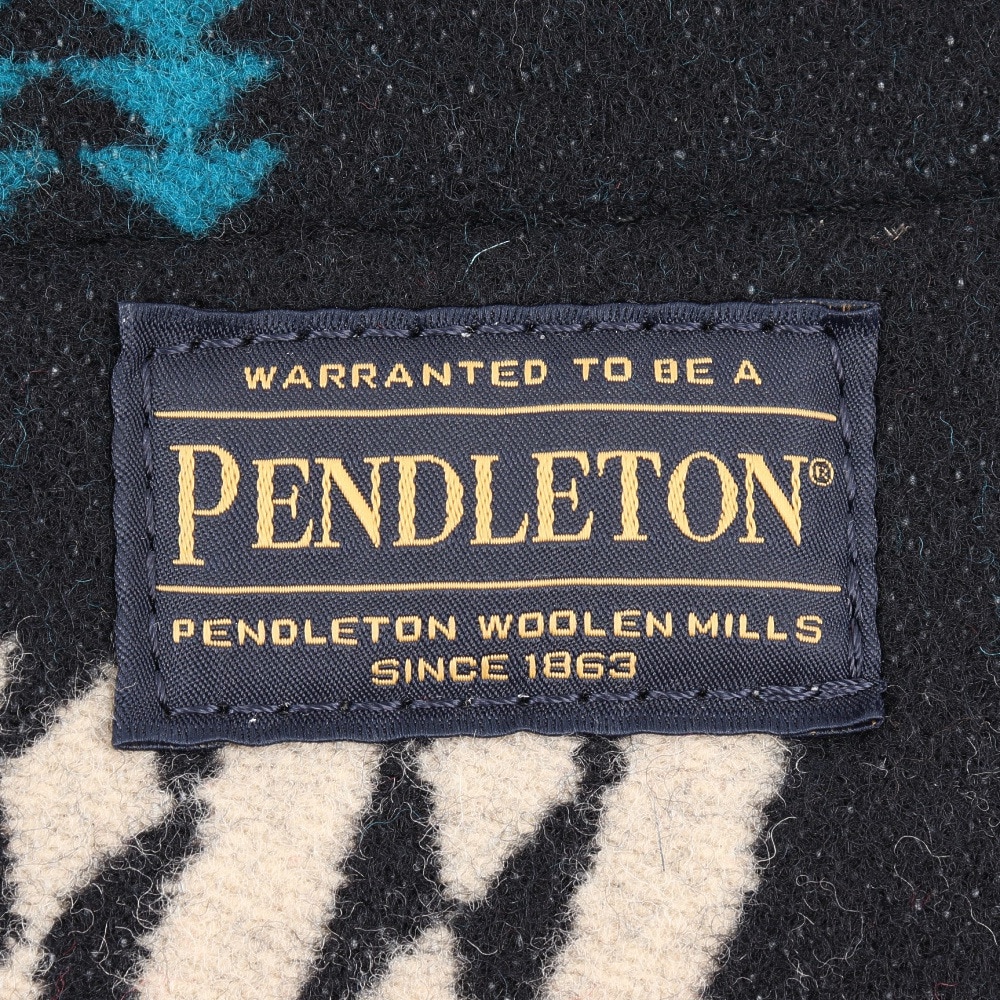 ペンドルトン（PENDLETON）（メンズ、レディース、キッズ）ランチバッグ 19807380853000
