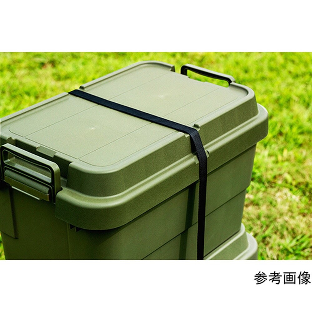 リス（RISU） 収納ボックス コンテナ トランクカーゴ TC-70S GHON109