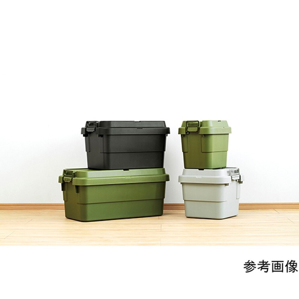 リス（RISU） 収納ボックス コンテナ トランクカーゴ TC-70S GHON109