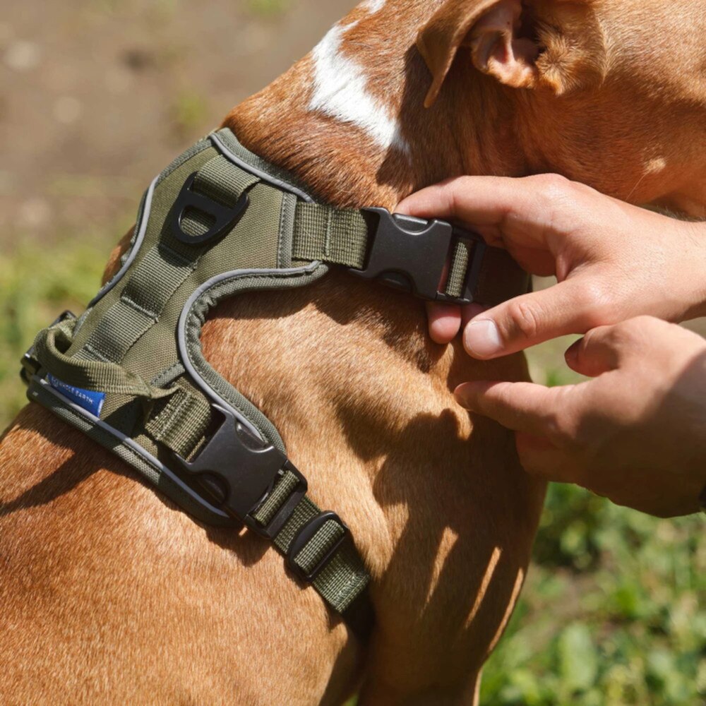 ホールアース（Whole Earth） Pet Harness ペット ハーネス WE2MDZ55 BEG ベージュ 散歩 おでかけ ペット用品