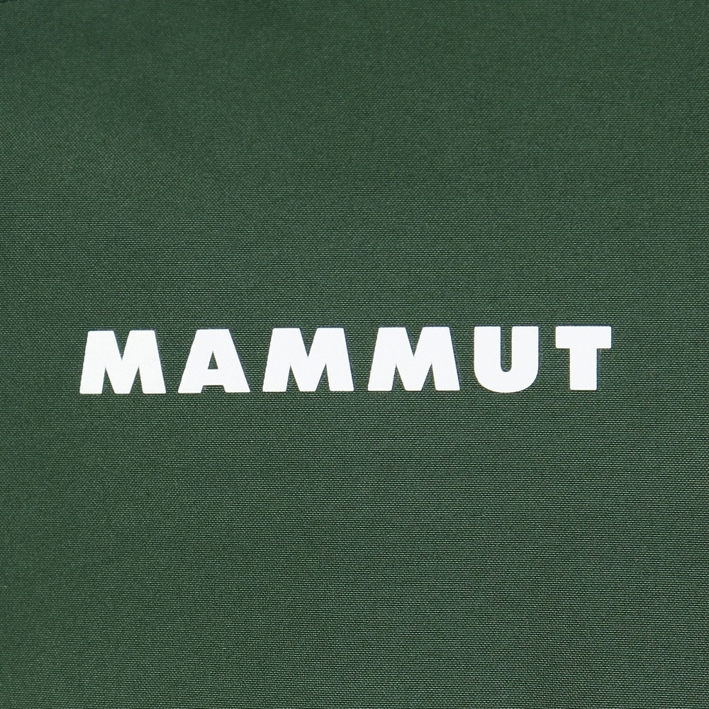 マムート（MAMMUT）（メンズ）ゴアテックス ayako pro 2.0 アヤコプロ 2.0 ハードシェル フーデットジャケット AF 1010-30280-40135 防水 防風