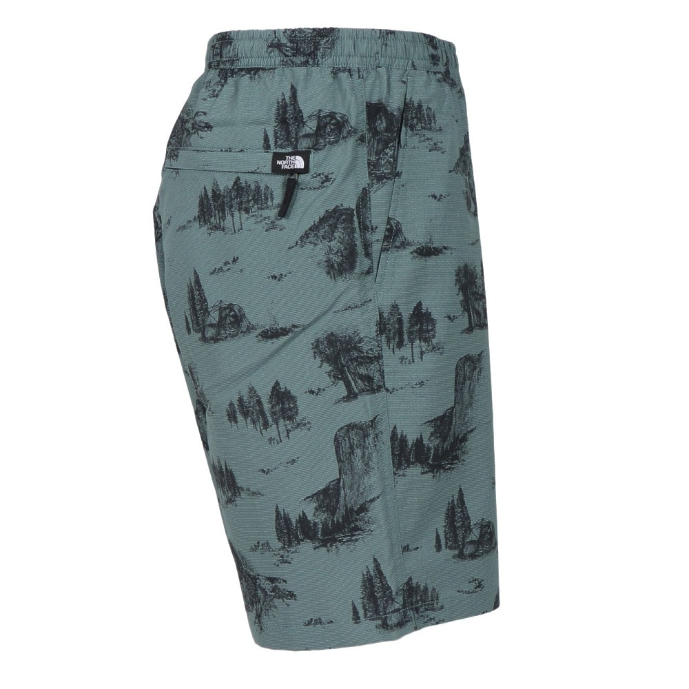 ザ・ノース・フェイス（THE NORTH FACE）（メンズ）ショートパンツ ショーツ ALOHA　VENT　SHORT NB42532 YN