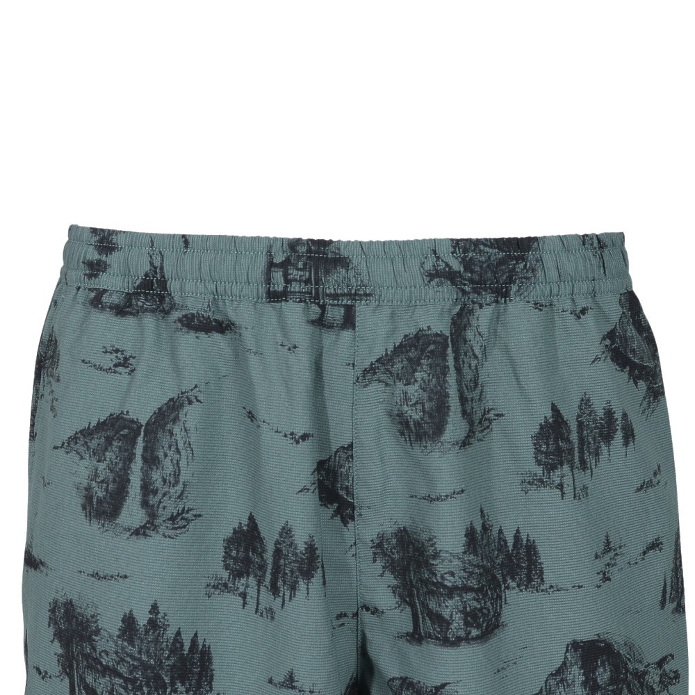 ザ・ノース・フェイス（THE NORTH FACE）（メンズ）ショートパンツ ショーツ ALOHA　VENT　SHORT NB42532 YN