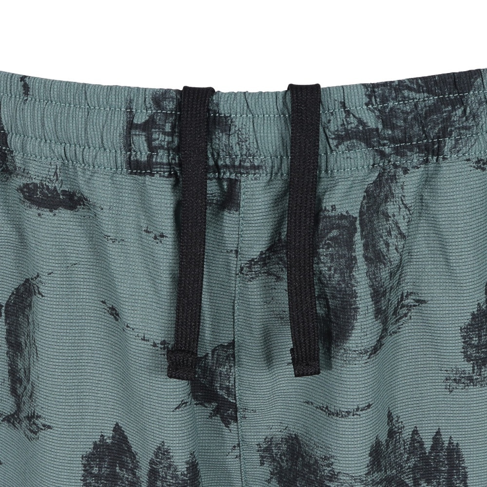 ザ・ノース・フェイス（THE NORTH FACE）（メンズ）ショートパンツ ショーツ ALOHA　VENT　SHORT NB42532 YN