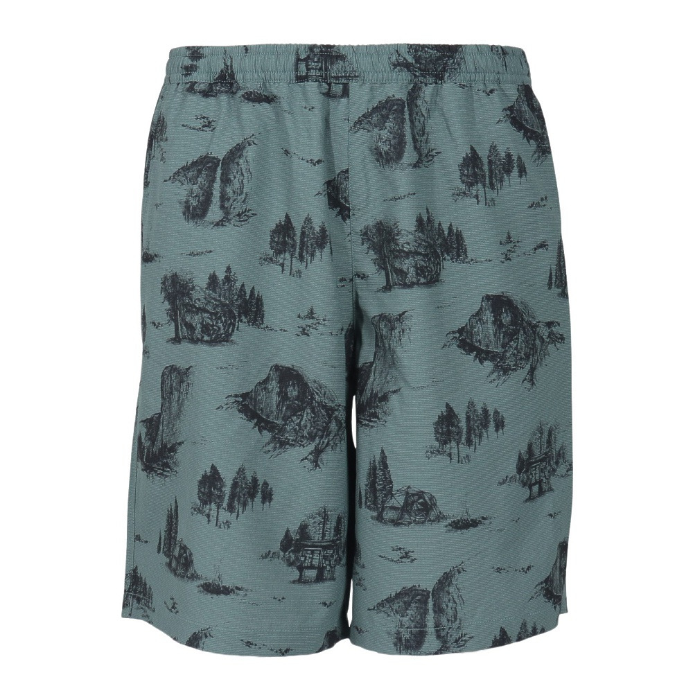 (メンズ)ショートパンツ ショーツ ALOHA VENT SHORT NB42532 YN