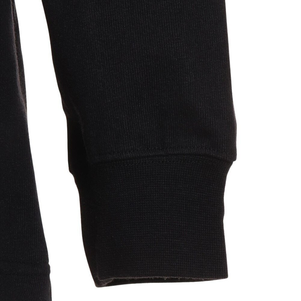 ノースフェイス（THE NORTH FACE）（メンズ）長袖Tシャツ ロンT ロングスリーブ 30th ヌプシTシャツ NT82235 K