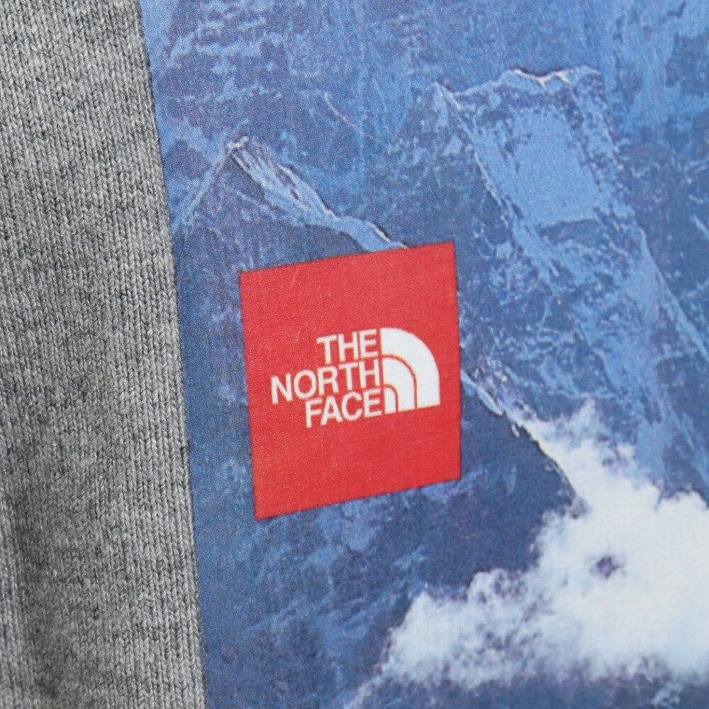 ノースフェイス（THE NORTH FACE）（メンズ）長袖Tシャツ ロンT ロングスリーブ 30th ヌプシTシャツ NT82235 Z グレー クルーネック バックプリント