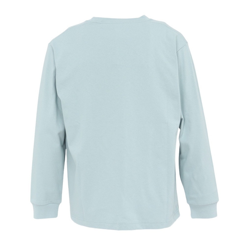 ヘリーハンセン（HELLY HANSEN）（メンズ）長袖Tシャツ ロゴ HH32540 MS