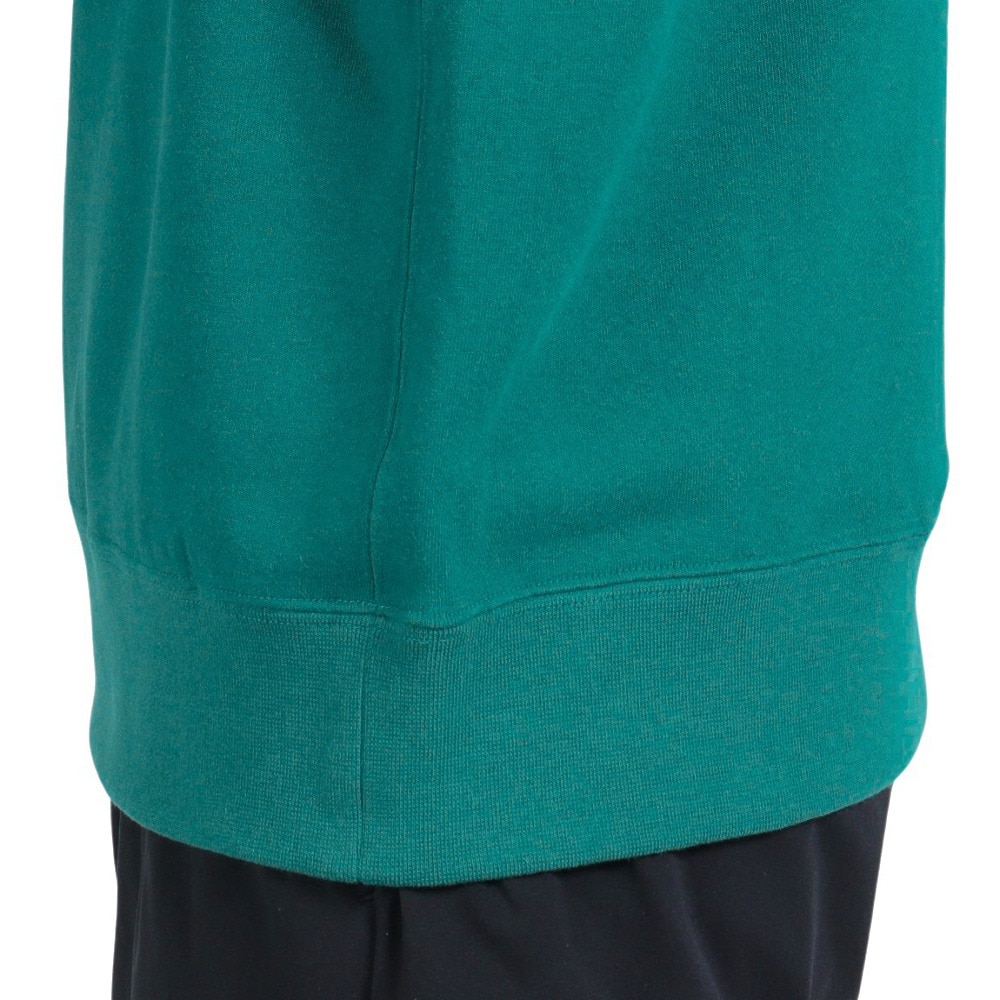 ザ・ノース・フェイス（THE NORTH FACE）（メンズ）スウェット トレーナー 長袖 ロゴクルーネック NT62335X AE グリーン