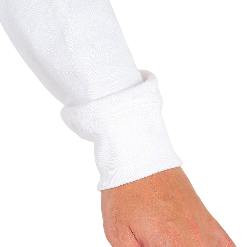ヘリーハンセン（HELLY HANSEN）（メンズ）長袖Tシャツ ロンT ロングスリーブ LETTER レター Tシャツ HH32380 CW ホワイト