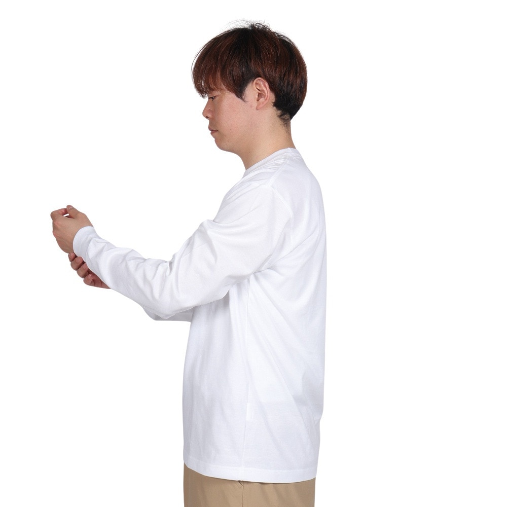 ザ・ノース・フェイス（THE NORTH FACE）（メンズ）長袖Tシャツ ロンT ロングスリーブスモールボックスロゴティー NT32441 W