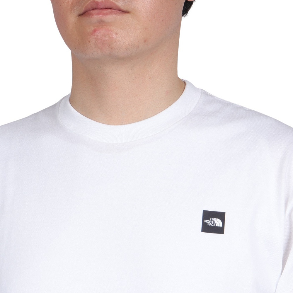 ノースフェイス（THE NORTH FACE）（メンズ）長袖Tシャツ ロンT ロングスリーブスモールボックスロゴティー NT32441 W