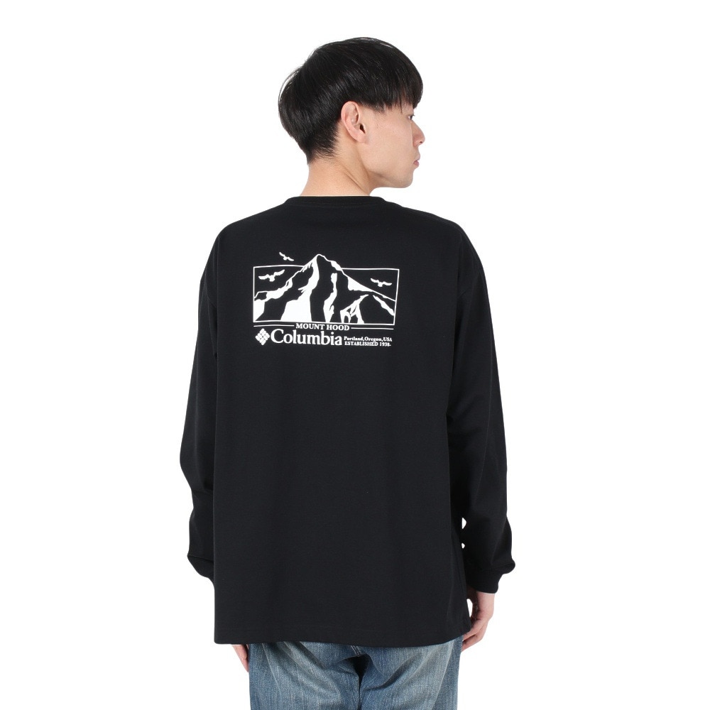 コロンビア（Columbia）（メンズ）ロマビスタグラフィック ロングスリーブTシャツ PM0764 010