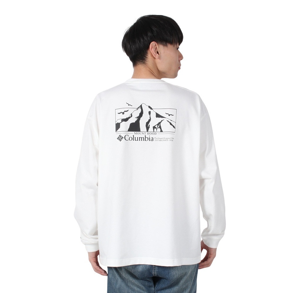 コロンビア（Columbia）（メンズ）ロマビスタグラフィック ロングスリーブTシャツ PM0764 125