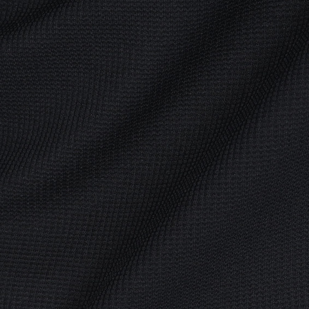 POLEWARDS（メンズ）長袖Tシャツ ロンT Woolmesh ハーフジップ PW2TJB01 BLK