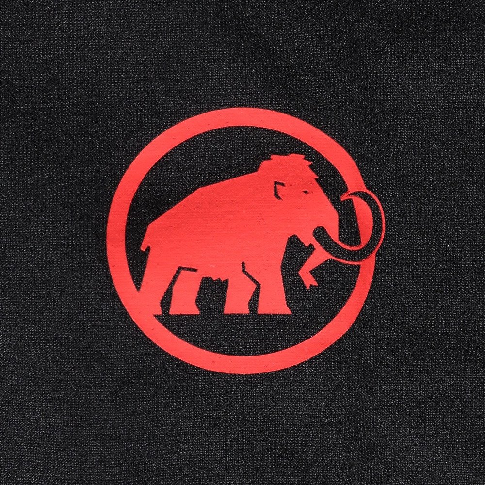 マムート（MAMMUT）（メンズ）長袖Tシャツ ロンT QD ロゴ プリント ロングスリーブ Tシャツ 1016-01030-00710