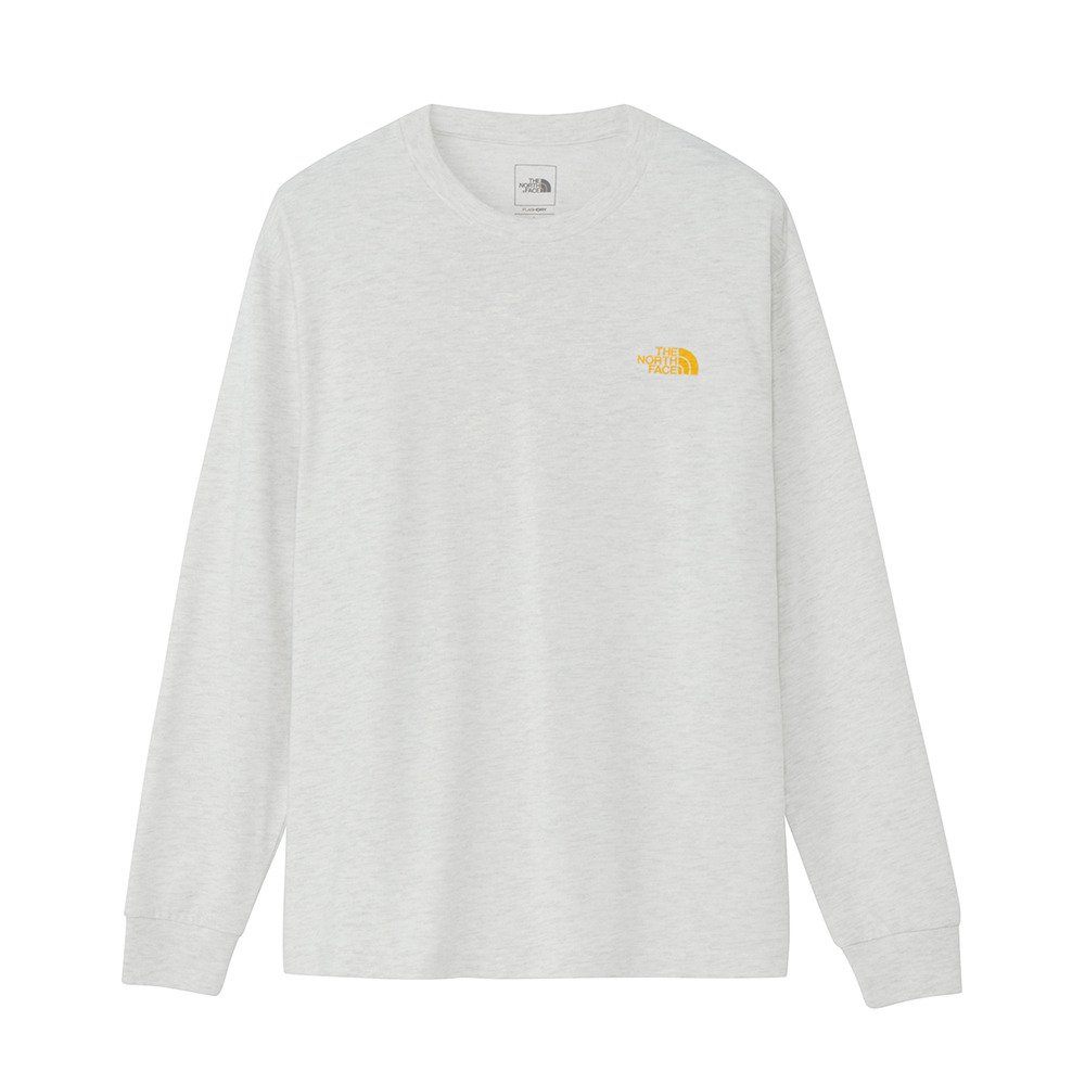 ザ・ノース・フェイス（THE NORTH FACE）（メンズ）長袖 ロンT ロングスリーブ バックスクエアロゴティー NT32442 WS