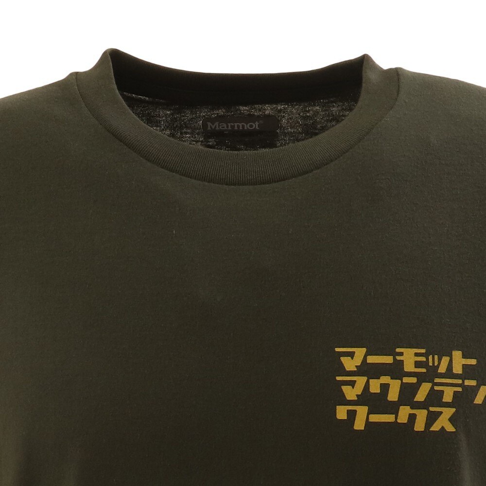 ドライフラワー 花材 即日出荷 Coretrading ピンクッション スプラウト ナチュラル 実 木の実 ドライフラワー リース アレンジ 花 本物