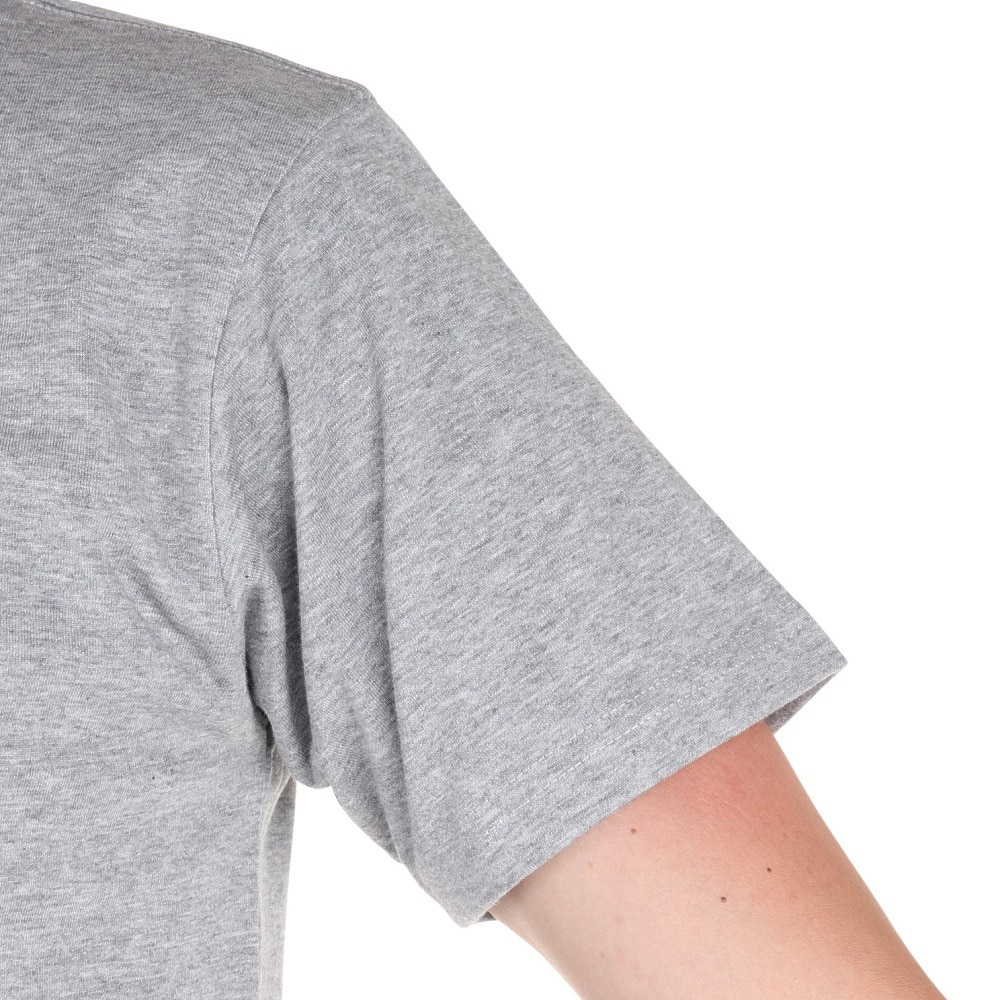 スノーピーク（snow peak）（メンズ）半袖Tシャツ Relaxin Fieldscape Tシャツ TS-23SU002 MG グレー