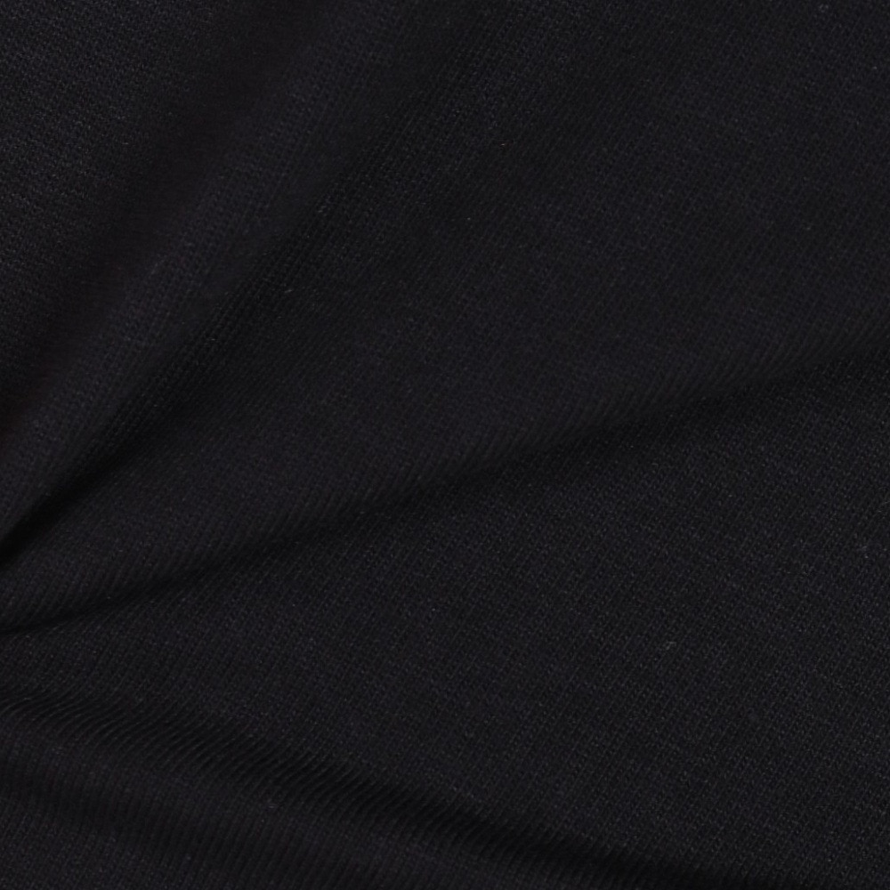 スノーピーク（snow peak）（メンズ）長袖Tシャツ ロンT Botanical Biotope 長袖Tシャツ TS-23SU004 BK ブラック